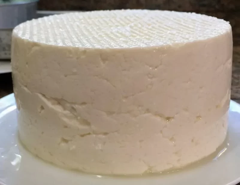 Queijo Caseiro com Apenas 3 Ingredientes