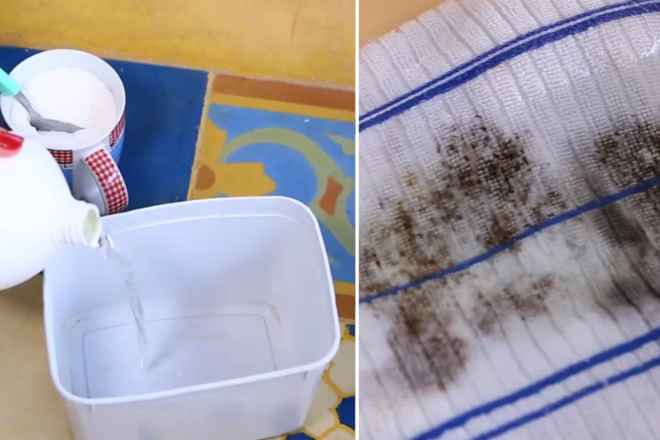 Receitinha Infalível para Eliminar Manchas de Mofo da Roupa