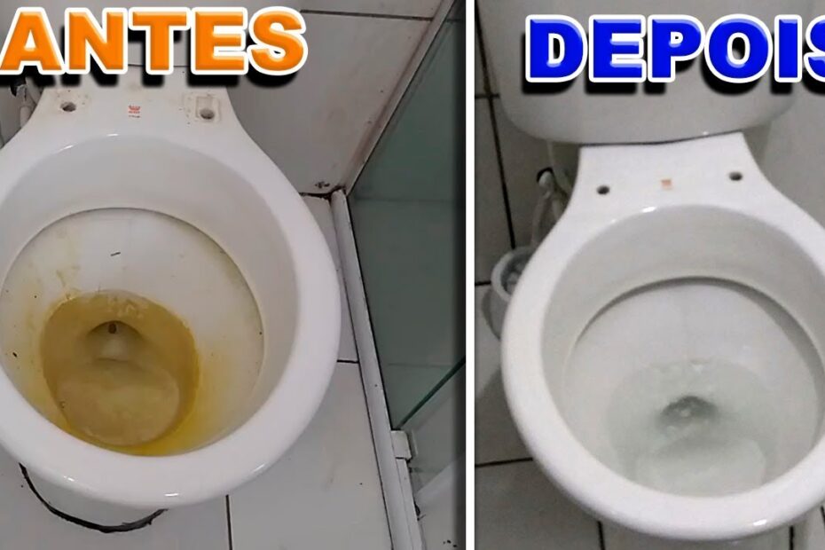 Como Limpar Vaso Sanitário Encardido: Guia Passo a Passo para Remover Crosta de Sujeira com Eficácia